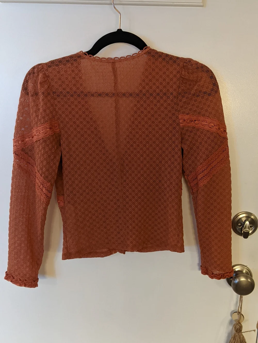 Free People Rust Lace-Detail Button Front Blouse